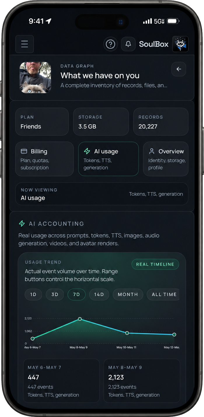 Usage accounting dashboard